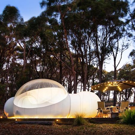 Skyview Bubbletent Eganstown ภายนอก รูปภาพ